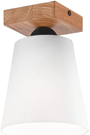 Lustră aplicată LULA 1xE27/60W/230V stejar
