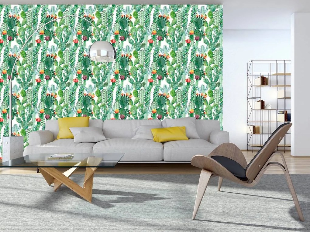 Fototapet - cactus (254x184 cm)