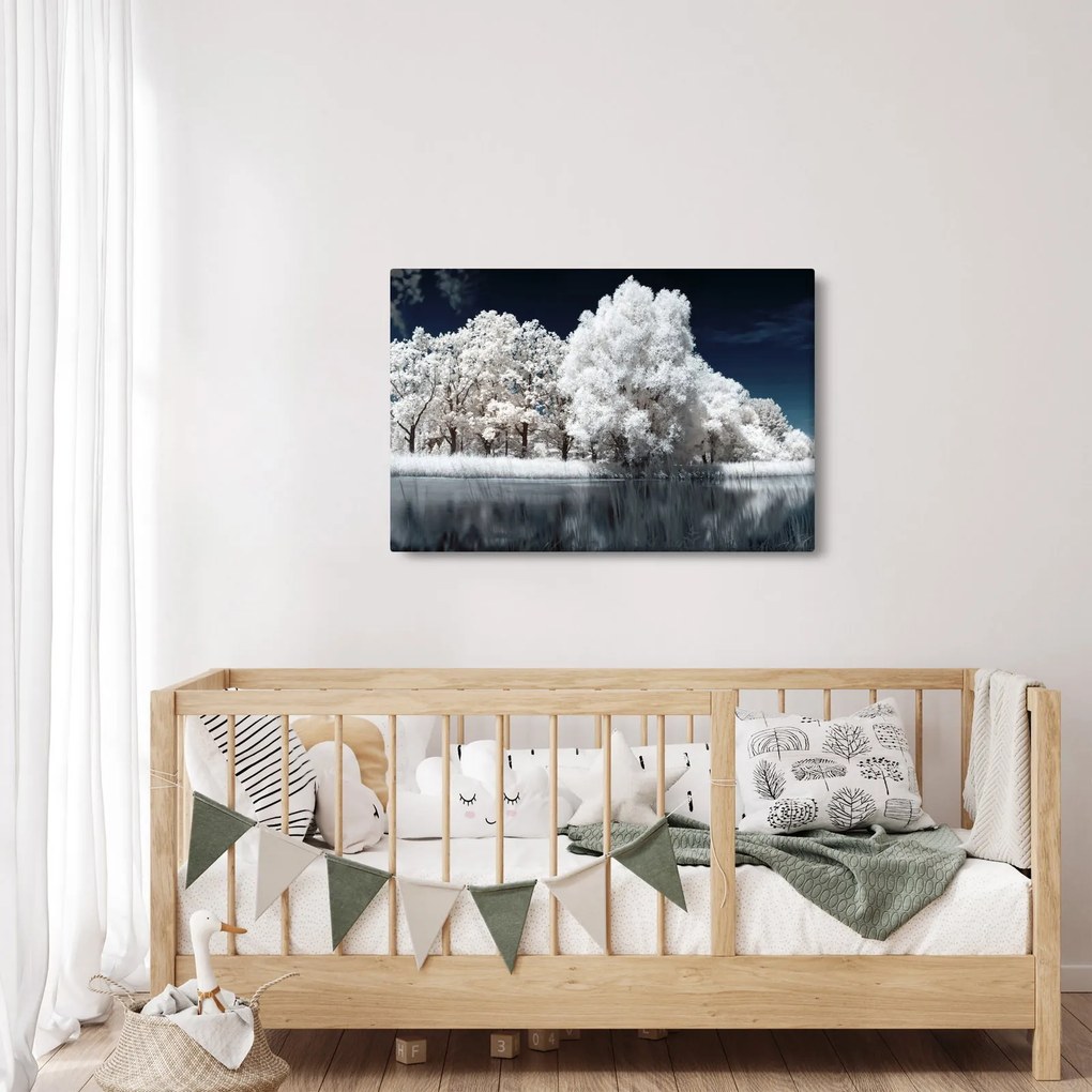 Tablou - Albă ca Zăpada Albă ca Zăpada Copaci (90x60 cm)