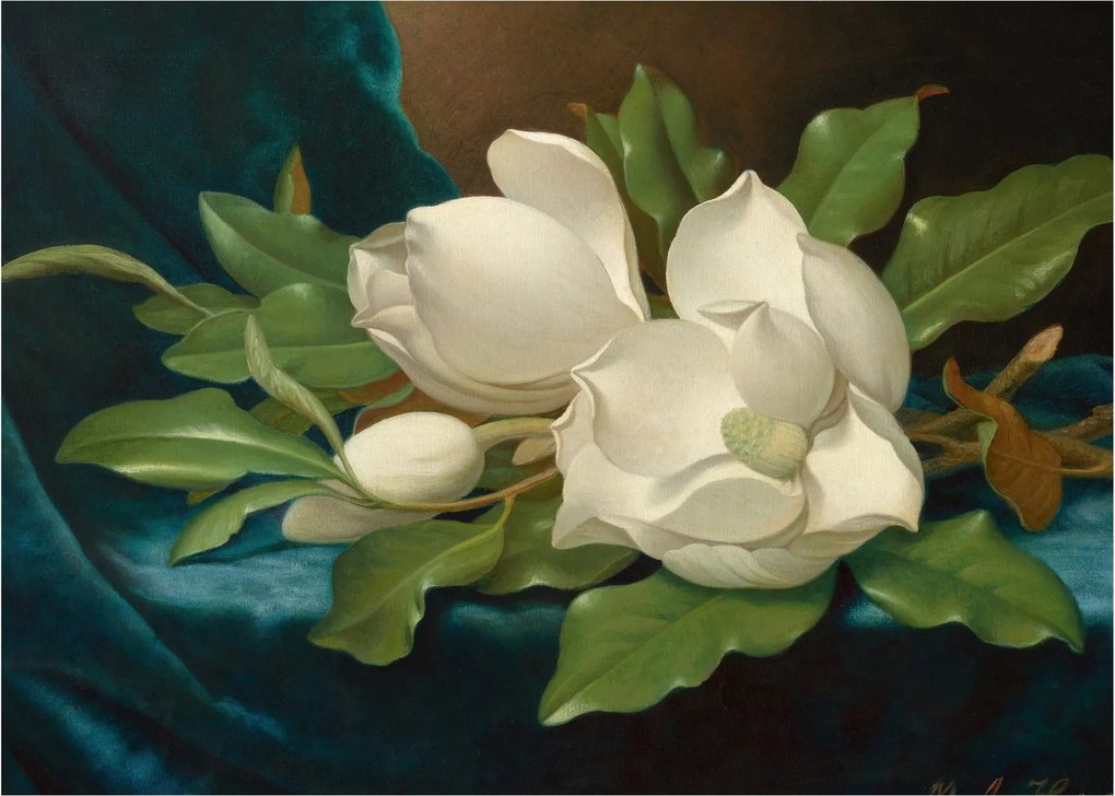 Tablou - Martin Johnson Heade, Giant Magnolias on a Blue Velvet Cloth, reproducere (70x50 cm)