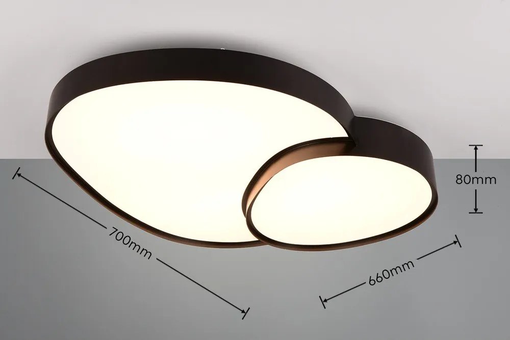 Plafonieră neagră LED 63.5x77 cm Rise – Trio