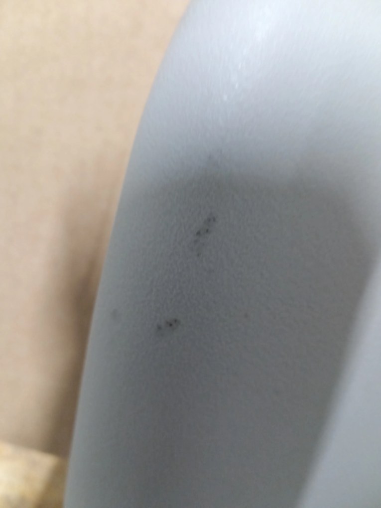 Reducere Scaun gri deschis BALI MARK cu picioare negre, calitatea II.