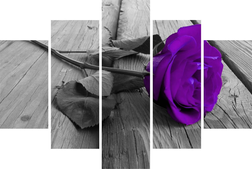 Tablou - Trandafir violet cu tulpina verde (150x105 cm)