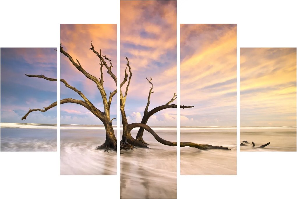 Tablou - Copacul în ocean (150x105 cm)