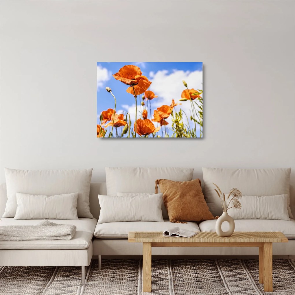 Tablou pe sticlă cu macii (70x50 cm)