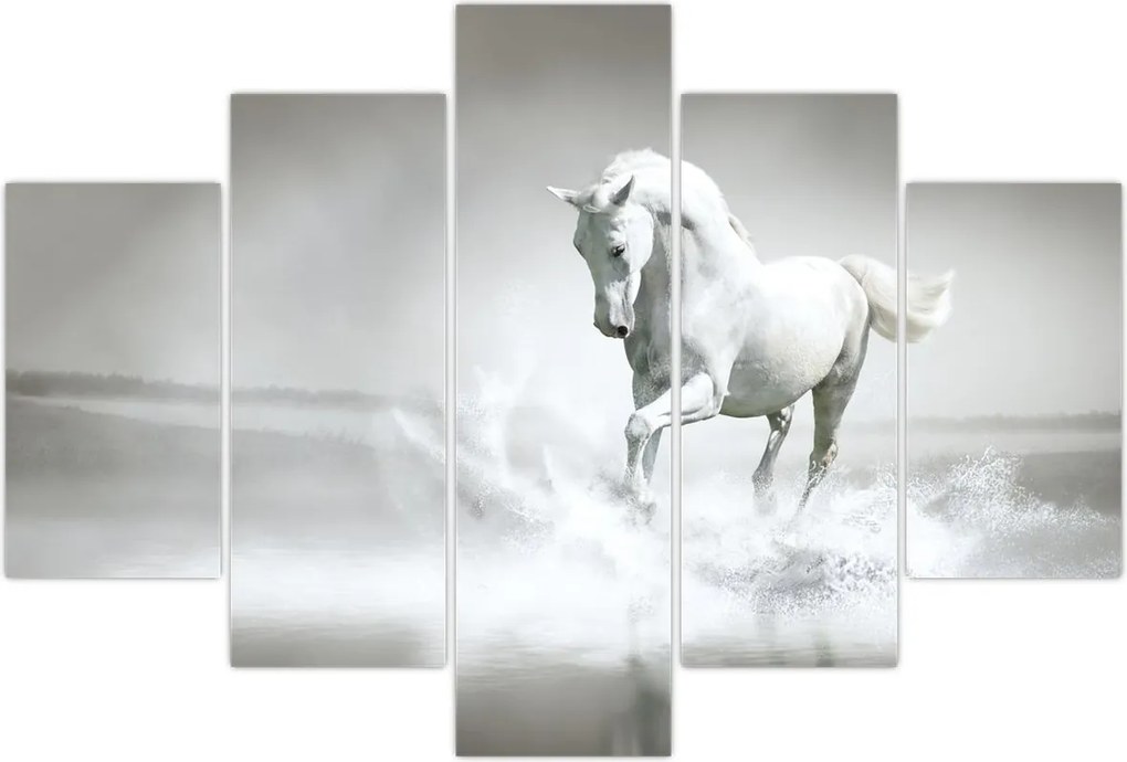 Tablou - Cal alb (150x105 cm)