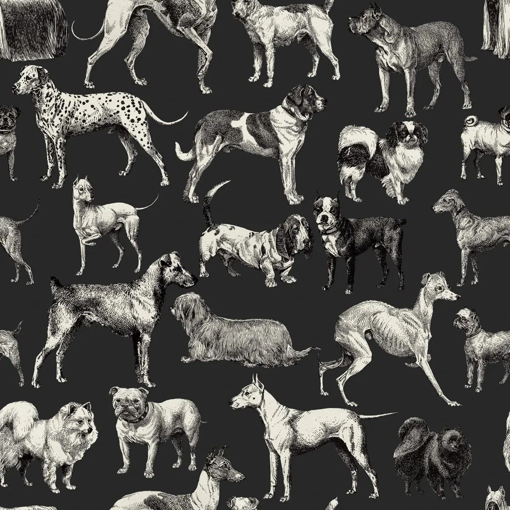 Fototapet, Dogs, Harlequin, Rebel Walls