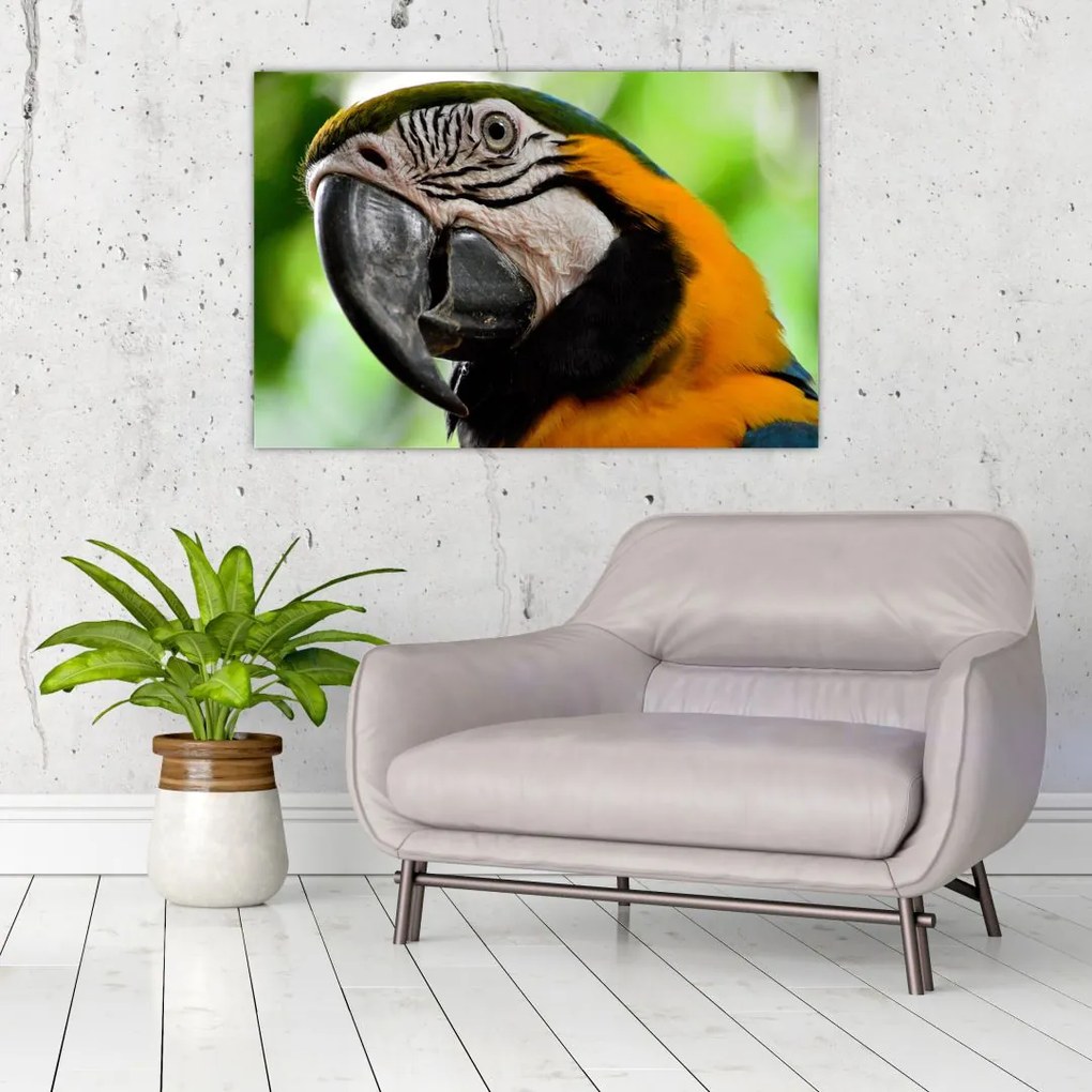 Tablou cu papagal (90x60 cm)