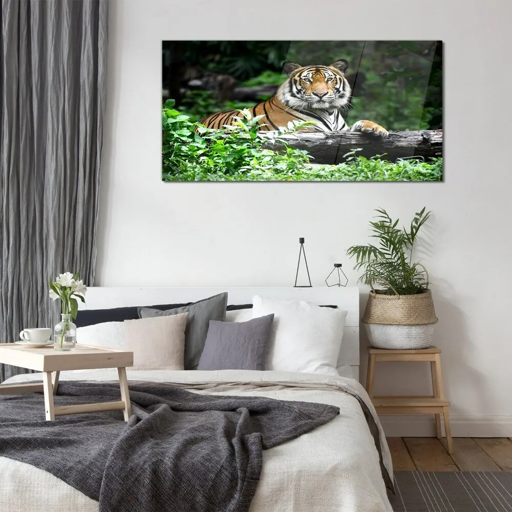 Tablou din sticla Forest Animal Cat Tiger