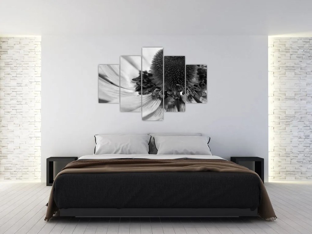 Tablou - Floare în alb-negru (150x105 cm)