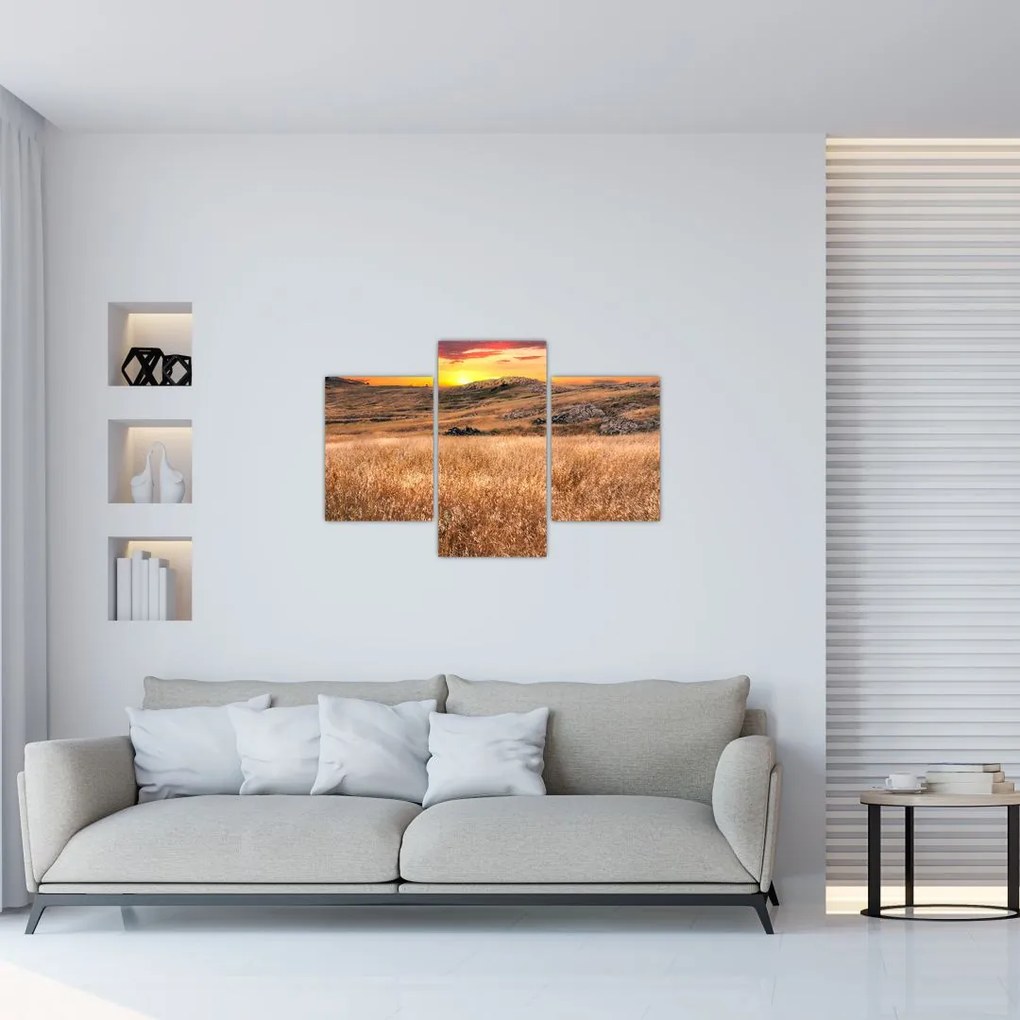 Tablou cu câmp (90x60 cm)