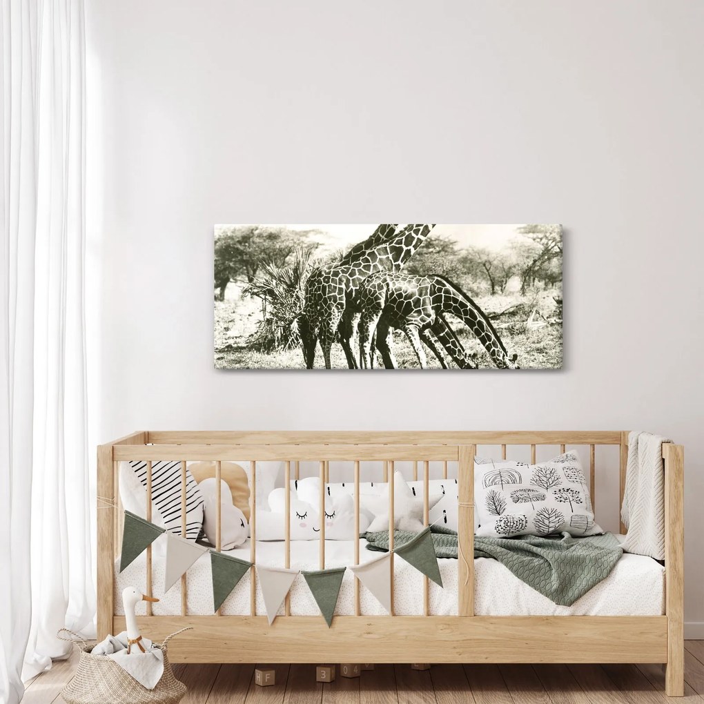 Tablou - Girafe, de epocă (120x50 cm)