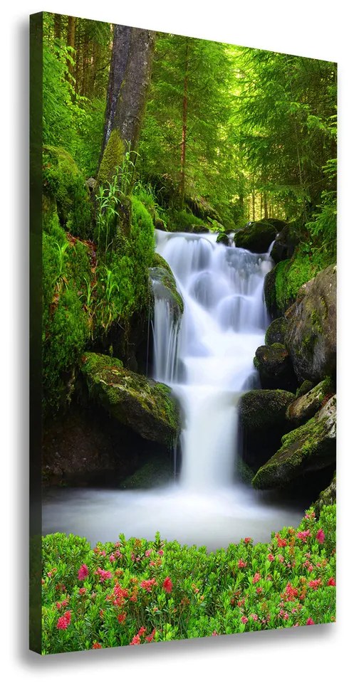 Tablou pe pânză canvas Cascada din pădure