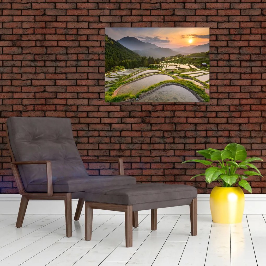Tablou - Terase de orez (70x50 cm)