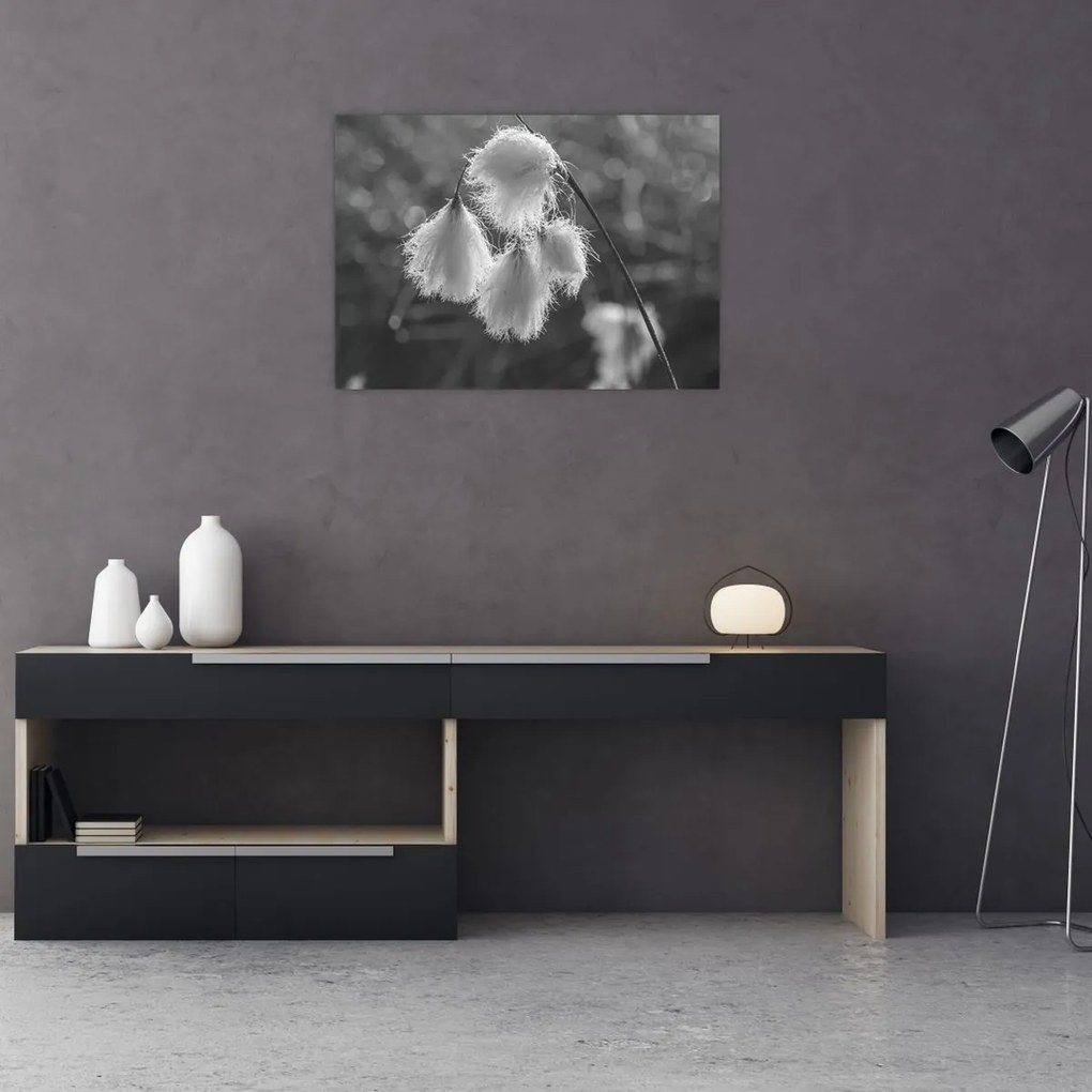 Tablou - Iarba de bumbac (70x50 cm)