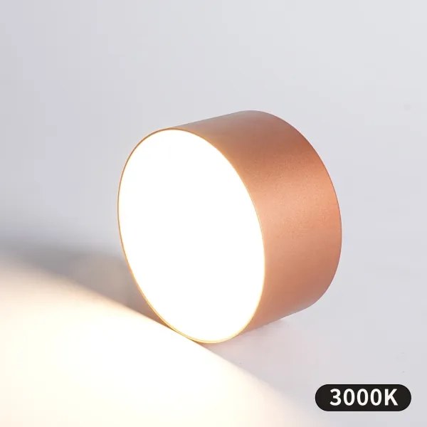 BRILAGI - Plafonieră LED pentru exterior FORIS LED/14W/230V, diametru 12 cm, bronz, IP44