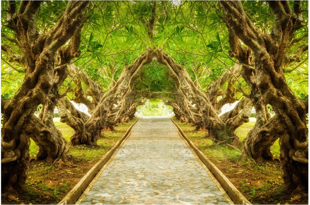 Tablou - Tunel viu din plumeria (90x60 cm)