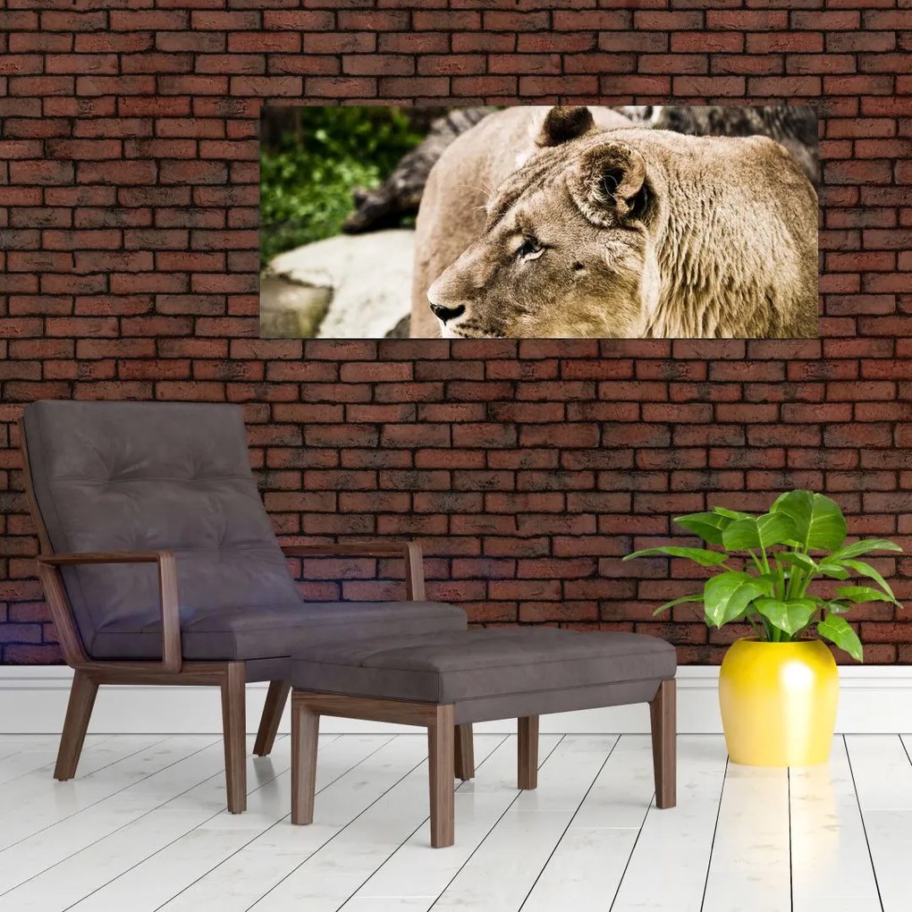 Tablou cu leoaică (120x50 cm)