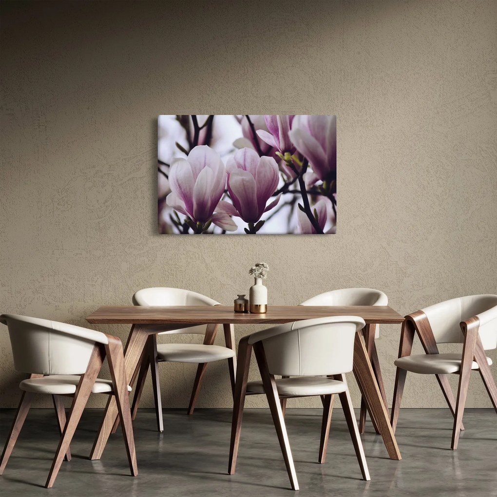 Tablou - Magnolie (90x60 cm)