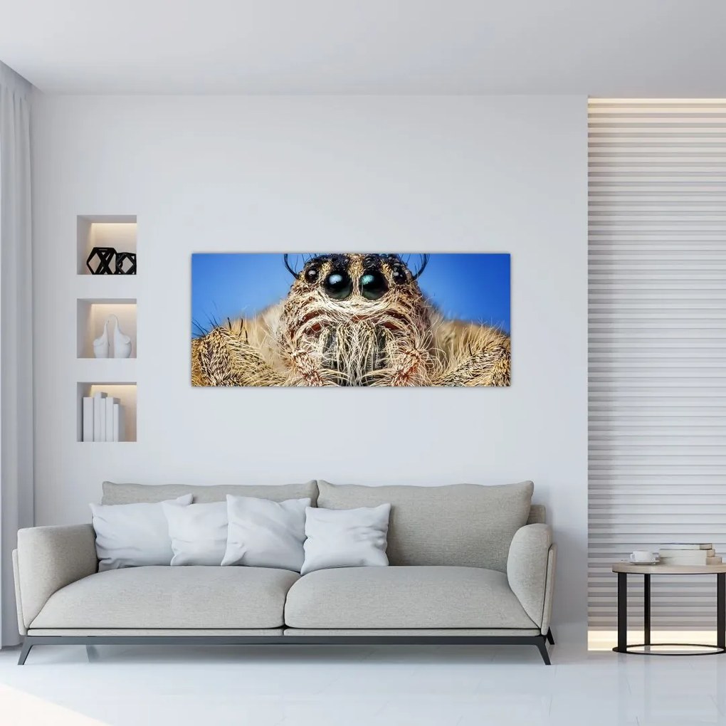 Tablou cu detalii a unui pâianjen (120x50 cm)