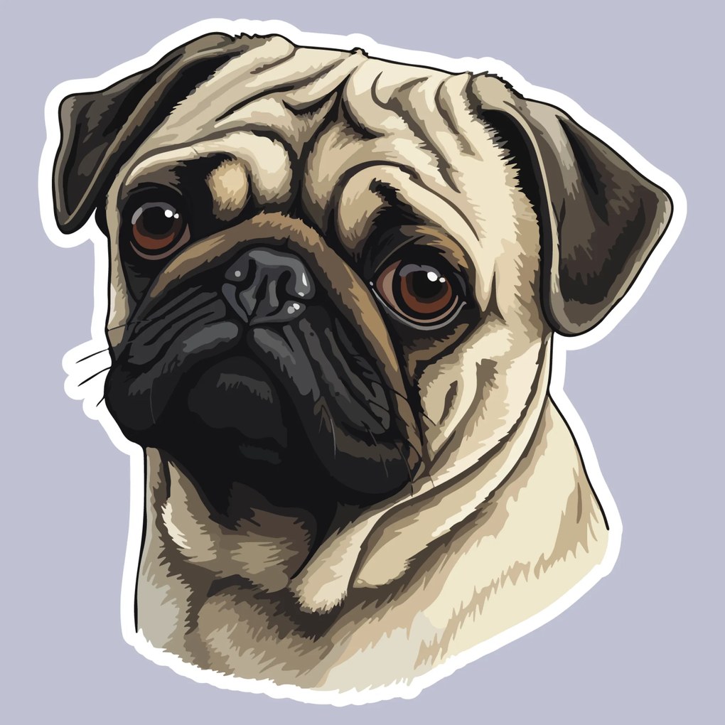PIPPER. Autocolant Pug Dog mărimea: 60cm
