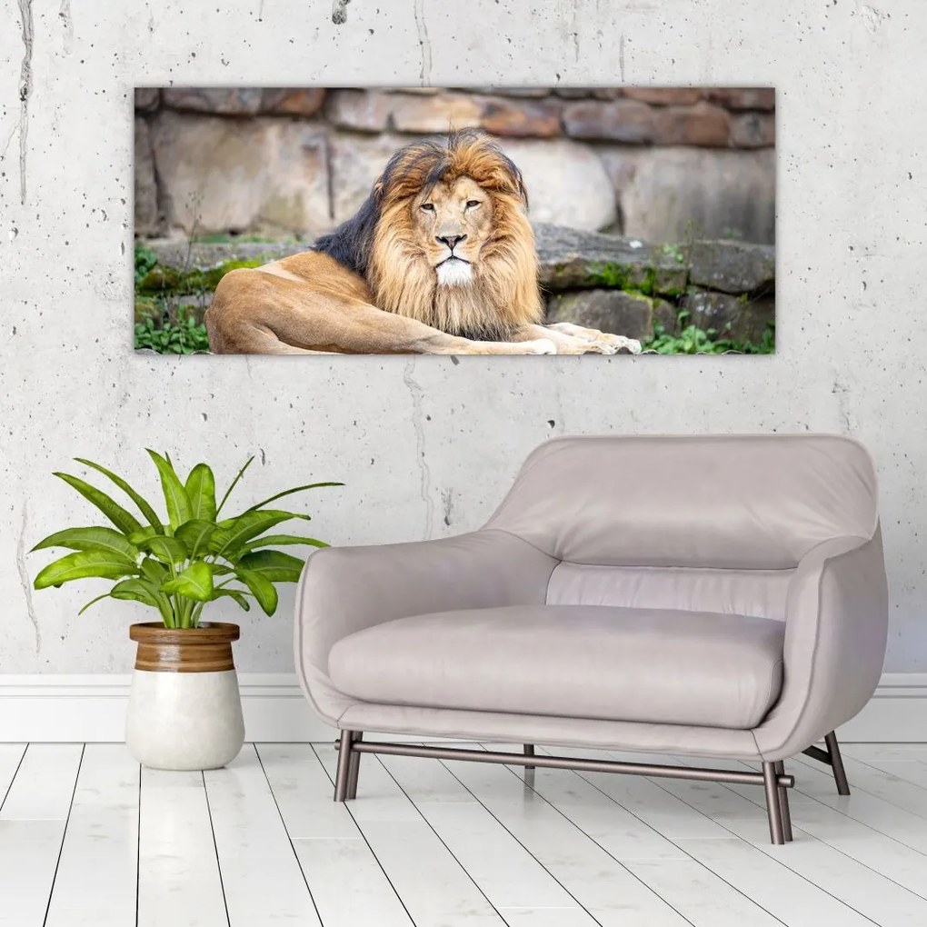 Tablou cu leu (120x50 cm)