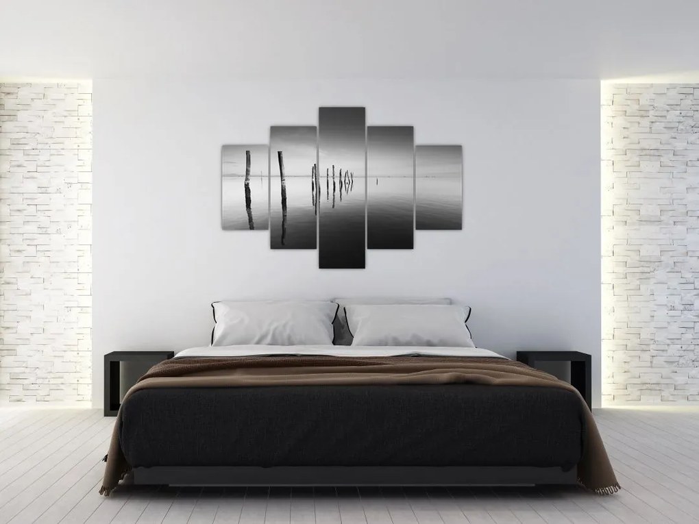 Tablou cu nivelul de lac alb negru (150x105 cm)