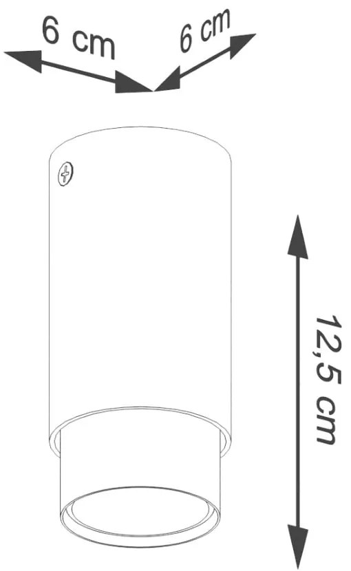 Plafonieră neagră/argintie Crown – Sollux