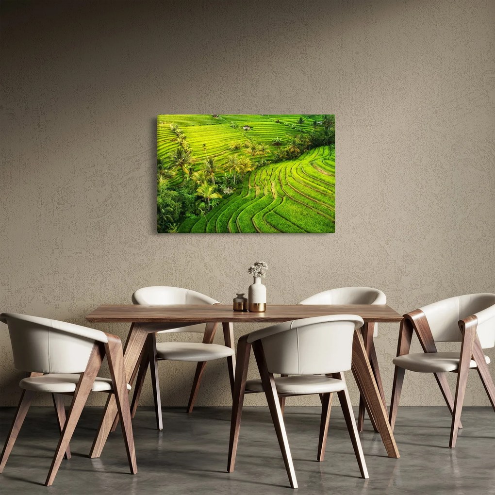 Tablou - Terase de orez (90x60 cm)