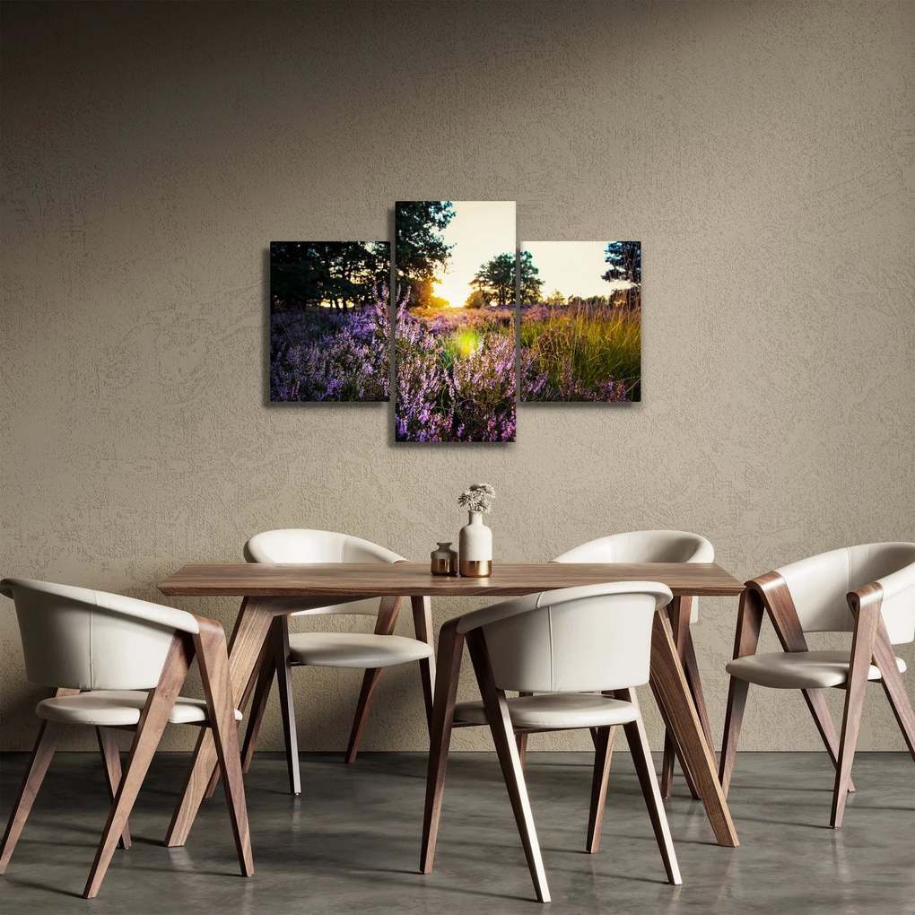 Tablou - Câmp cu lavandă (90x60 cm)