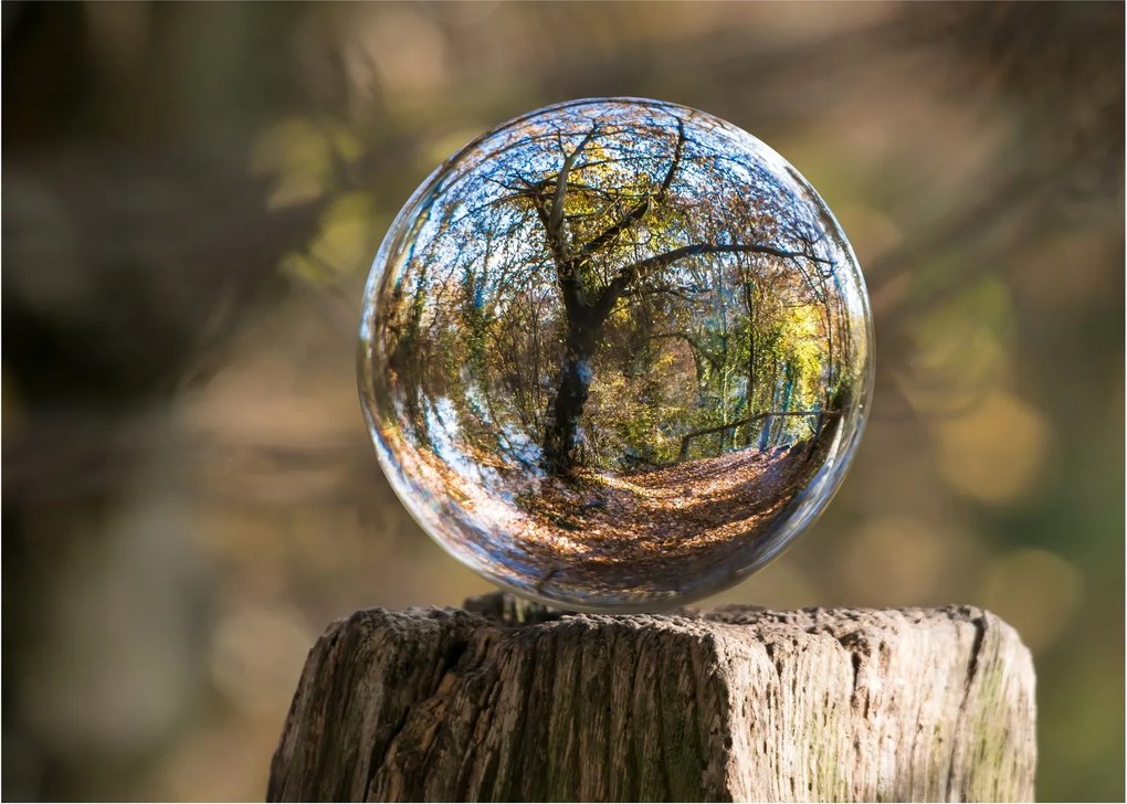 Tablou pe sticlă - Reflecție intr-o sferă transparentă (70x50 cm)