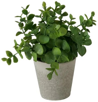 Eucalipt artificial in ghiveci Timothy 16/18 cm