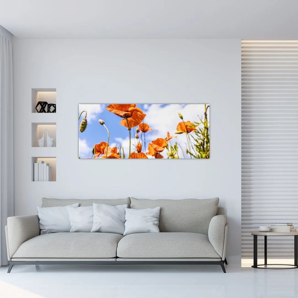 Tablou cu macii (120x50 cm)