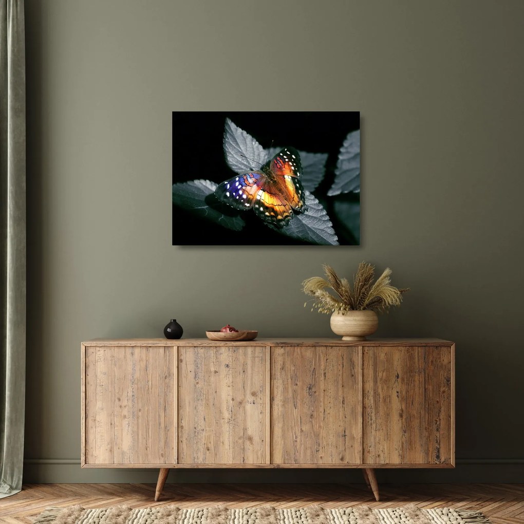 Tablou pe sticlă cu fluture (70x50 cm)