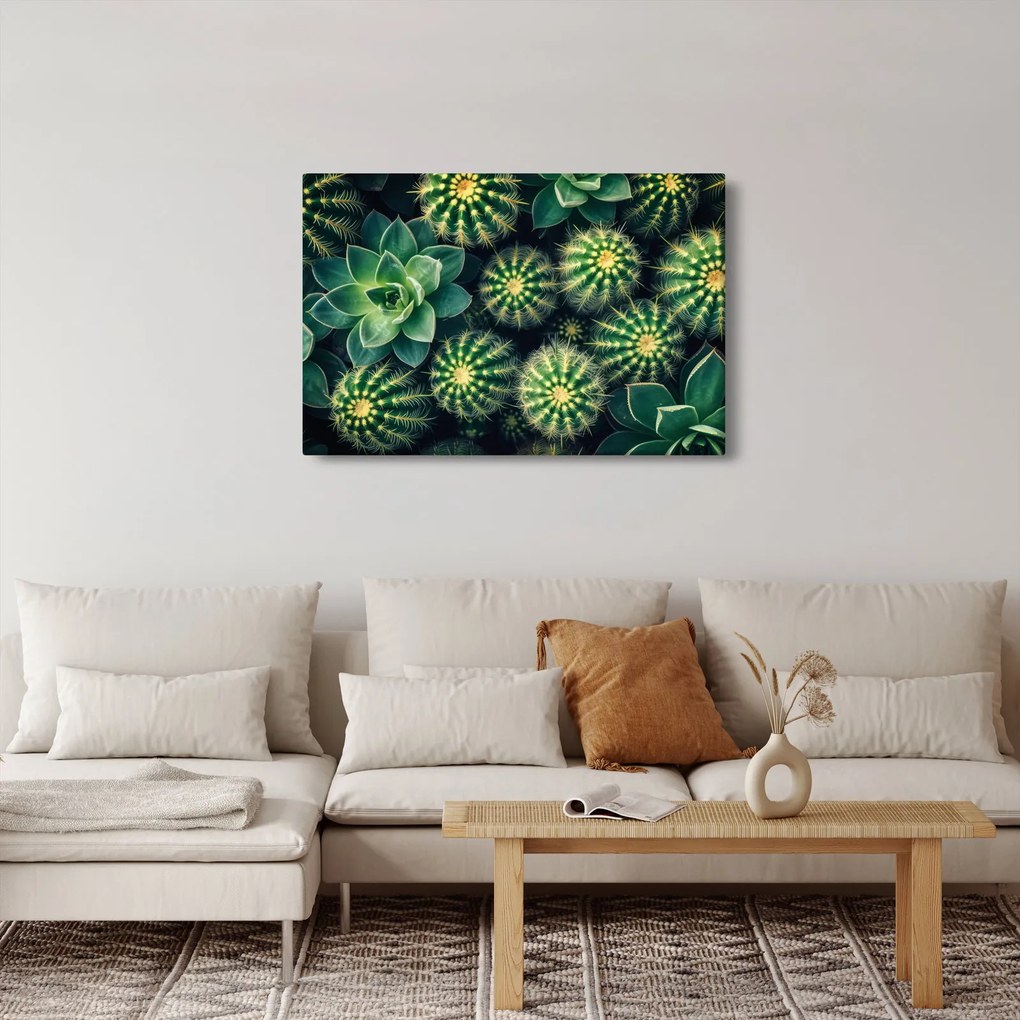 Tablou - Cactuși (90x60 cm)
