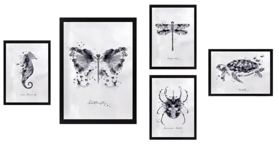 Tablouri 5 buc. Butterfly – Wallity