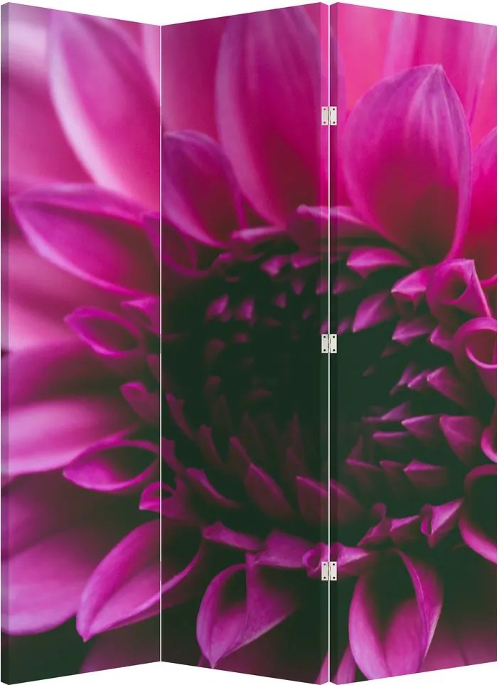 Paravan - floarea roz (126x170 cm)