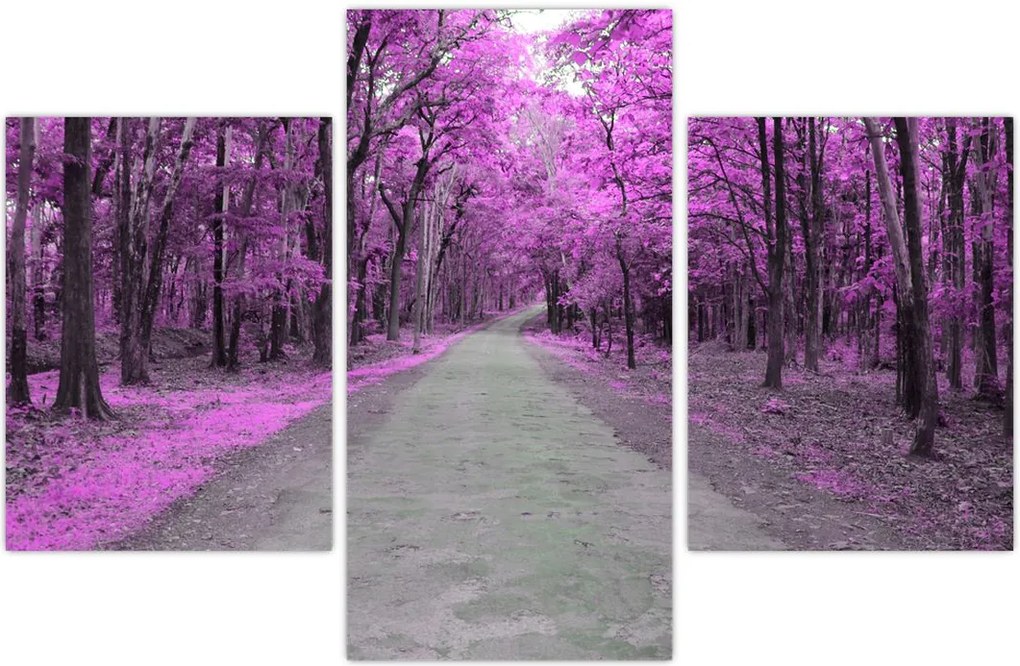 Tablou - drum prin parc (90x60 cm)