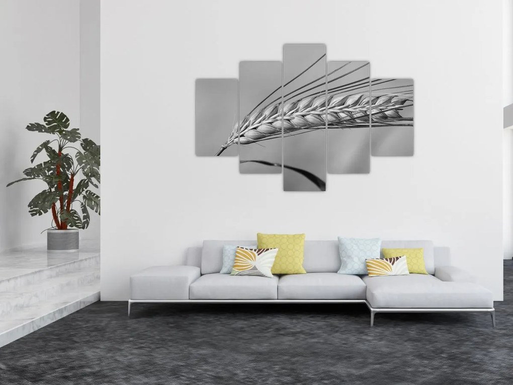 Tablou - Grâu,alb-negru (150x105 cm)