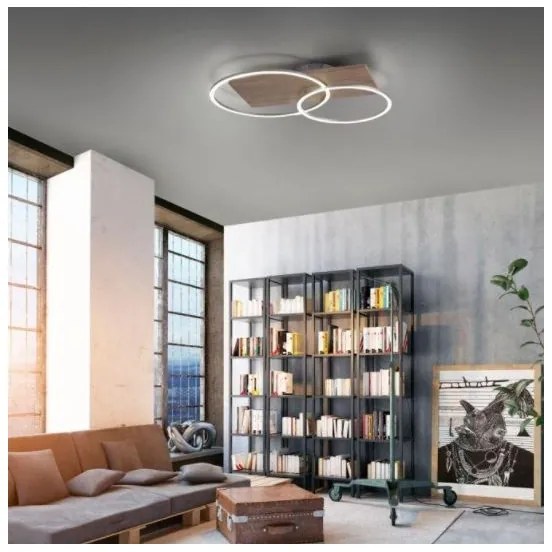 Lustră LED aplicată dimabilă PALMA LED/26W/230V Paul Neuhaus 8329-79 + telecomandă