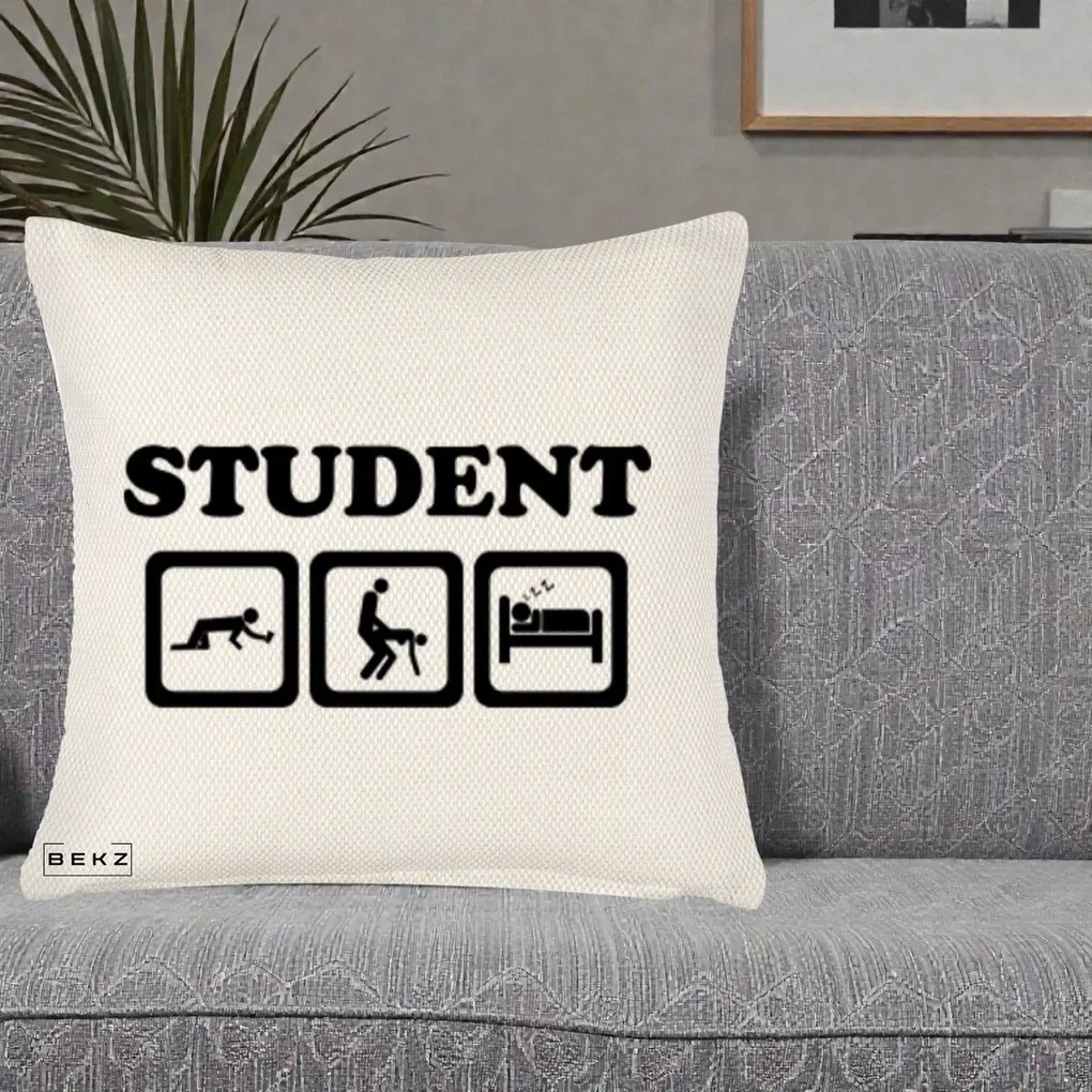 Perna Decorativa Student Life, 40x40 cm, Crem Reliefat, Husa Detasabila, Perna Inclusa, BEKZ®