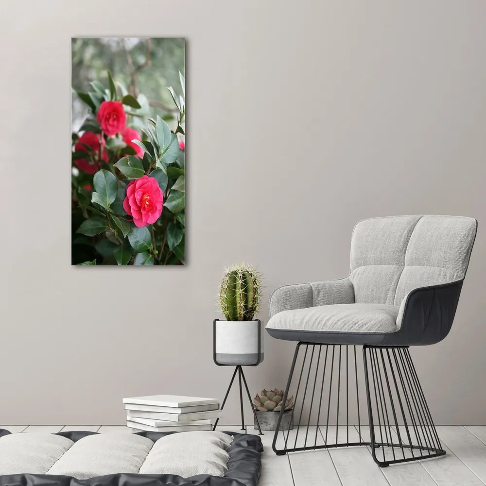 Print pe canvas Camelia
