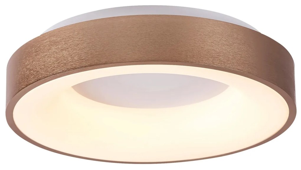Plafoniera LED camera de zi, sufragerie, dormitor Carmella 5053 RX