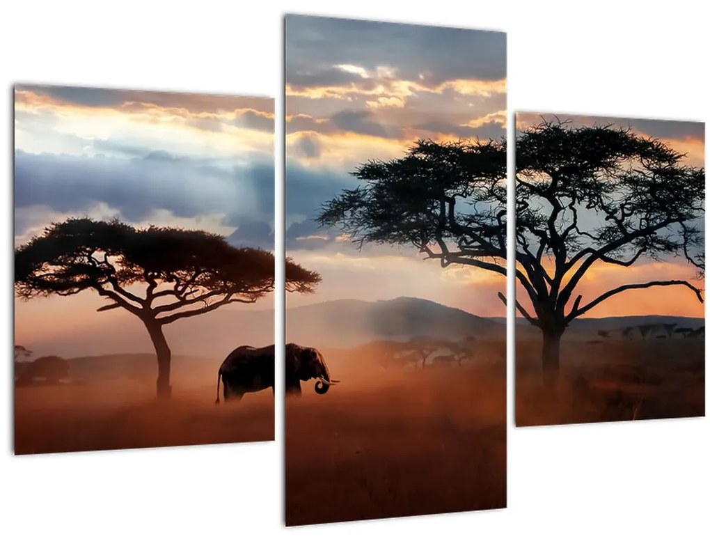 Tablou - Parcul Național Serengeti, Tanzania, Africa (90x60 cm)