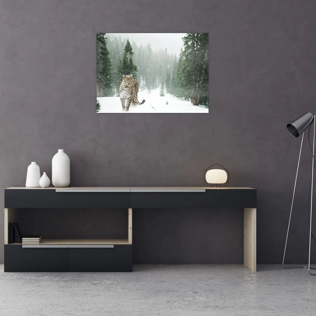Tablou cu leopard în zăpadă (70x50 cm)