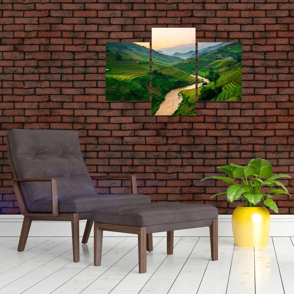 Tablou - Terase de orez II. (90x60 cm)