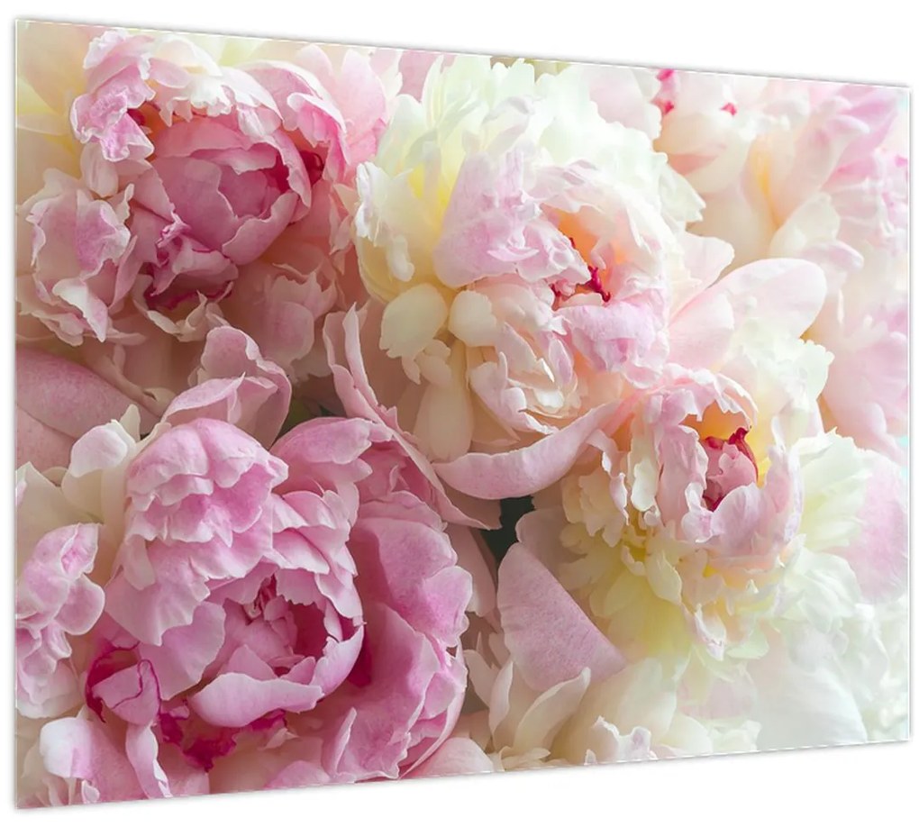 Tablou - Bujori (70x50 cm)