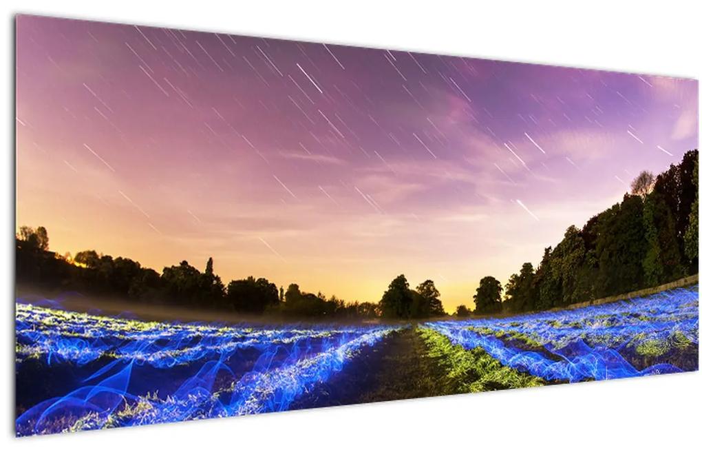 Tablou cu câmp colorat (120x50 cm), în 40 de alte dimensiuni noi