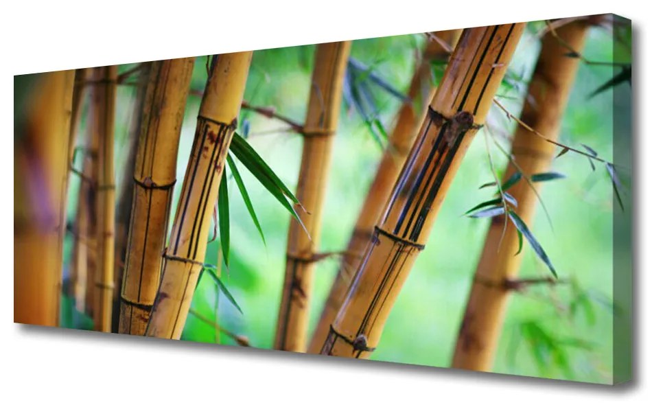 Tablou pe panza canvas Bamboo Natura Galben