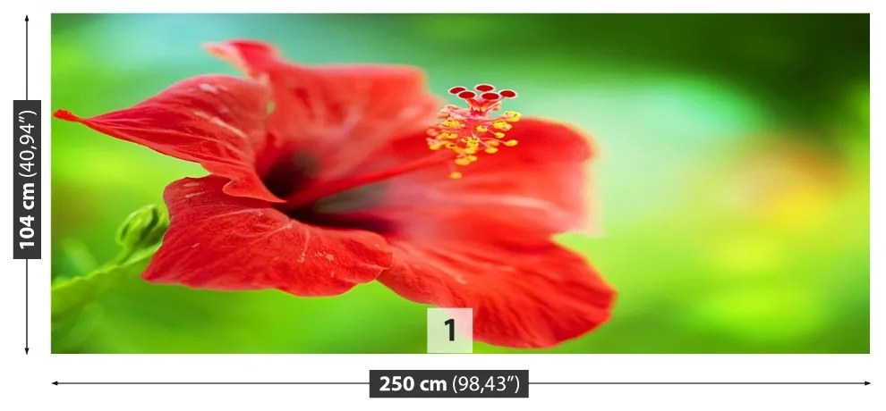 Fototapet Hibiscus roşu